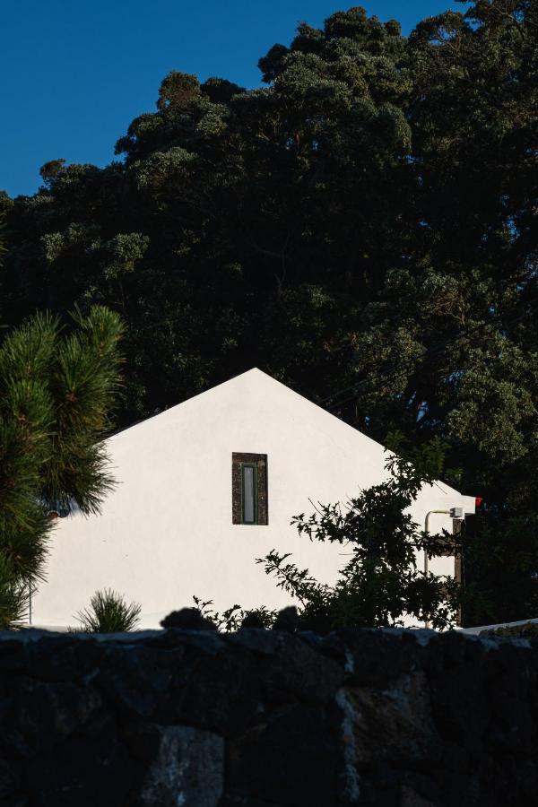 Entre Muros - Turismo Rural - Casa Com Jardim E Acesso Direto Ao Mar Ribeira Grande Dış mekan fotoğraf