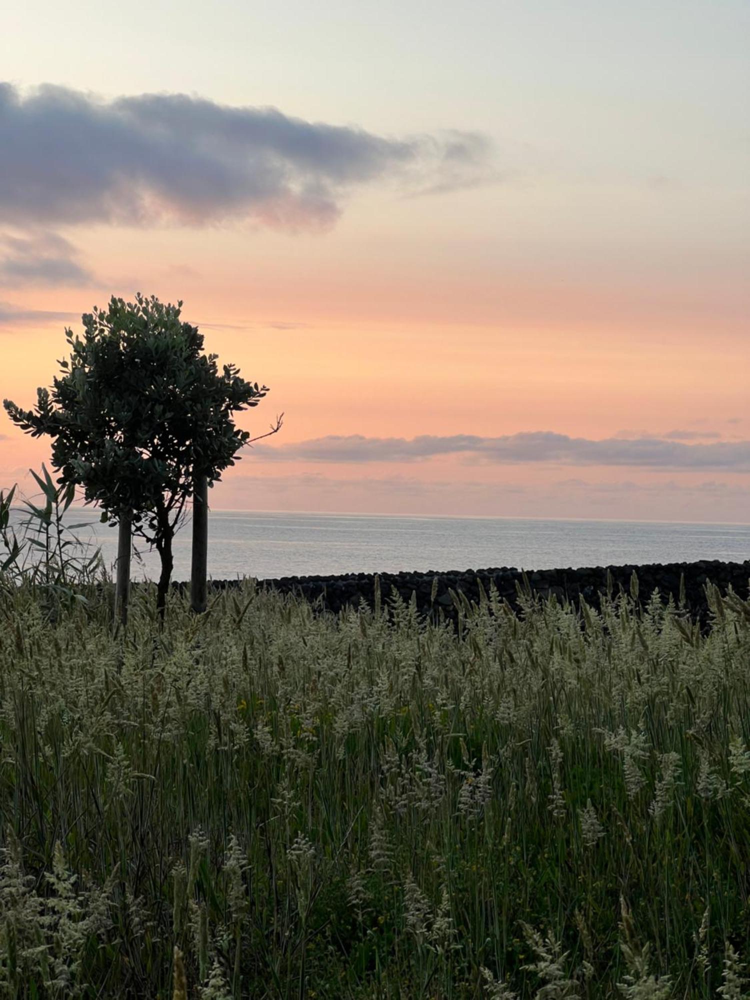Entre Muros - Turismo Rural - Casa Com Jardim E Acesso Direto Ao Mar Ribeira Grande Dış mekan fotoğraf